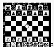 New Chessmaster